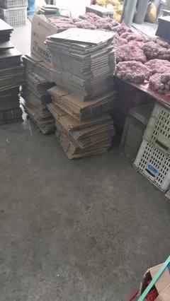 新鮮去皮濕核桃與商品房代購代銷 一站式批發(fā)與服務(wù)解決方案