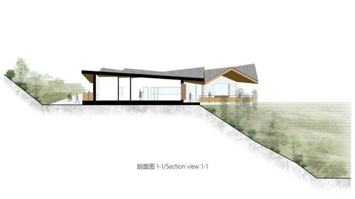 半山崖廢棄雞棚的暖心蛻變 小石村食品共享工廠與商品房代購代銷的鄉村振興新實踐